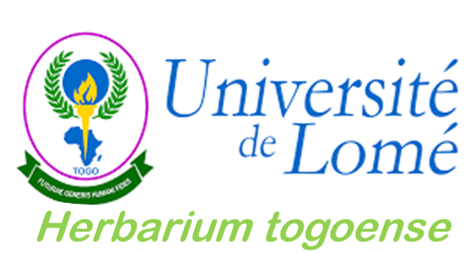 Université de Lomé